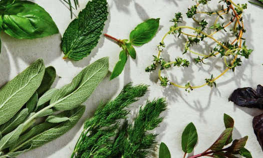 Herbs